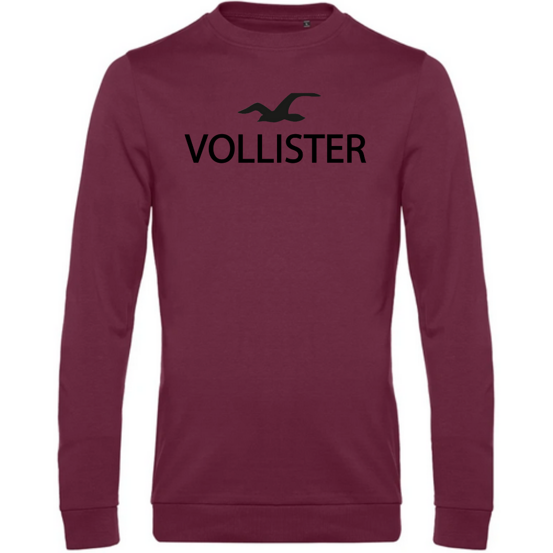 VOLLISTER - Herren Sweatshirt